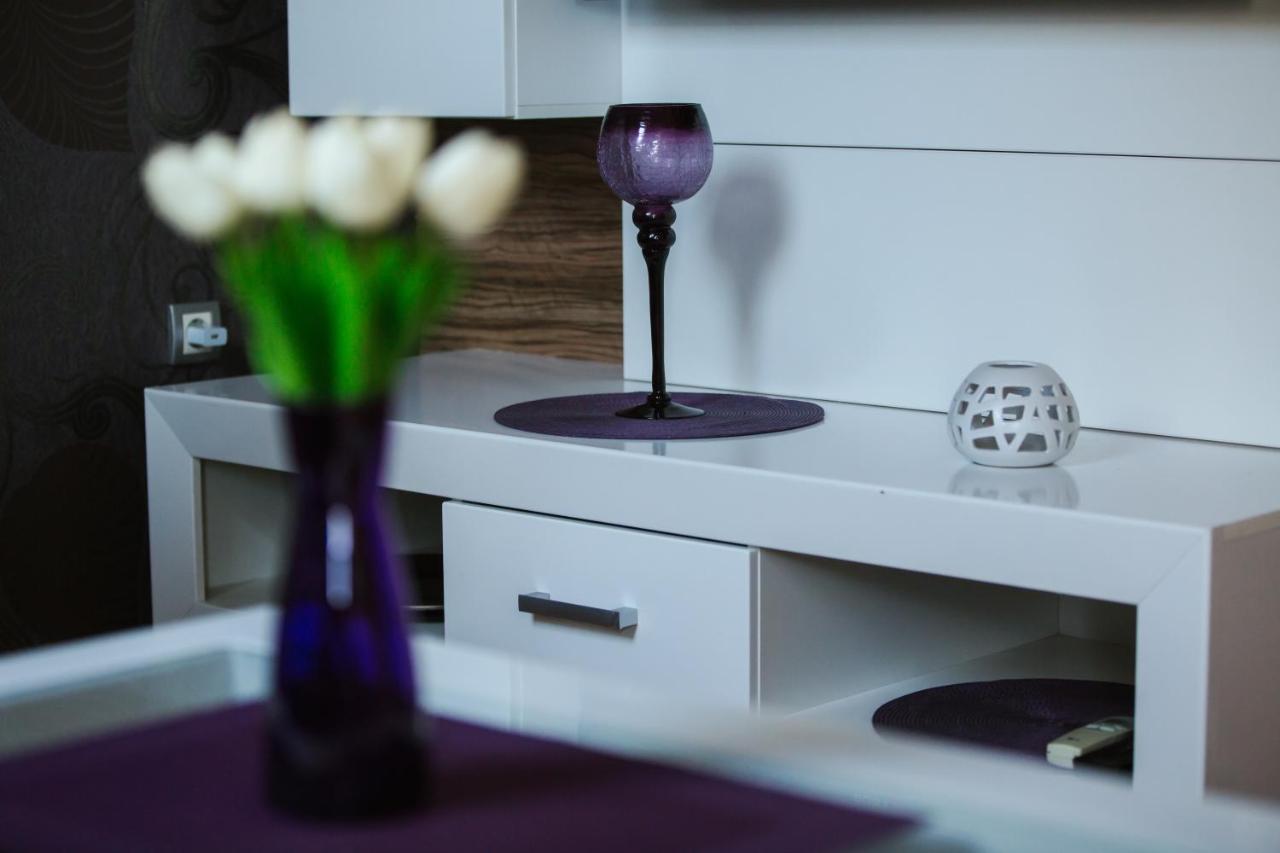 Apartament Old Town Flat Nowy Sad Zewnętrze zdjęcie
