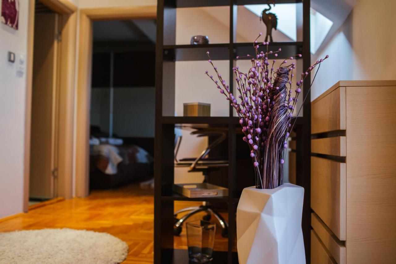 Apartament Old Town Flat Nowy Sad Zewnętrze zdjęcie